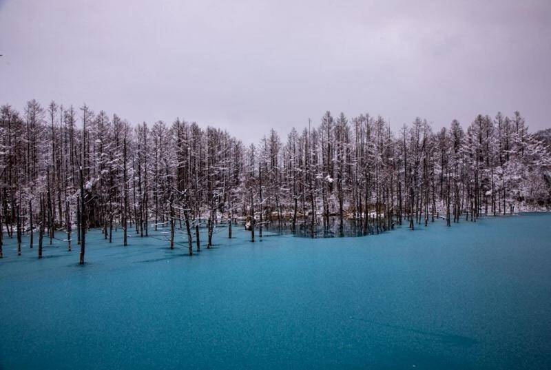 Biei Shirogane No Yu Hotell Exteriör bild