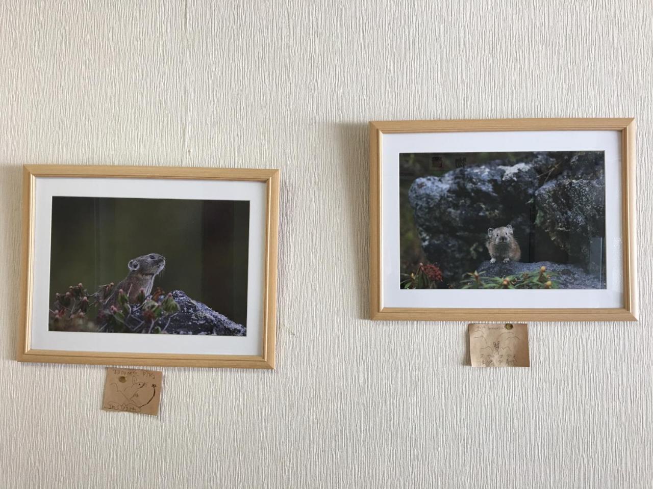 Biei Shirogane No Yu Hotell Exteriör bild
